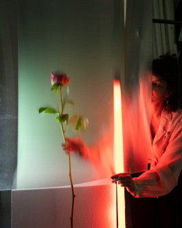 Bockauf Studio