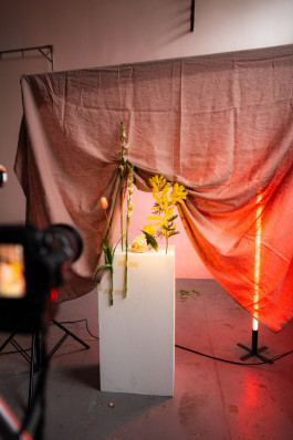 Bockauf Studio